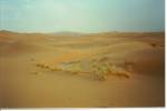 61 Merzouga.jpg